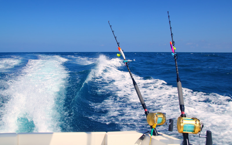 Flyer One Day Trip Fishing Tour Package